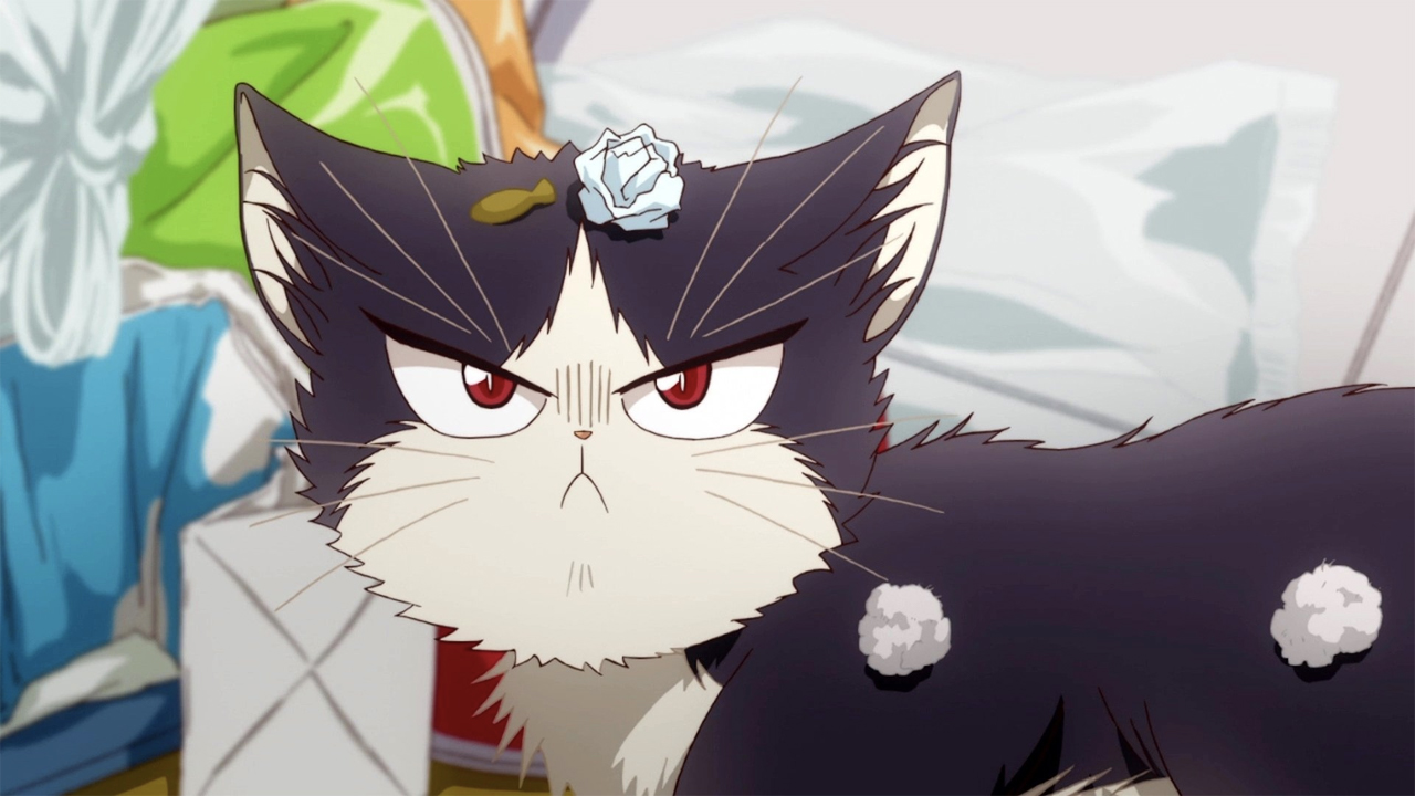 Animes con gatitos estelares imperdibles